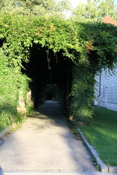 IMG 1136